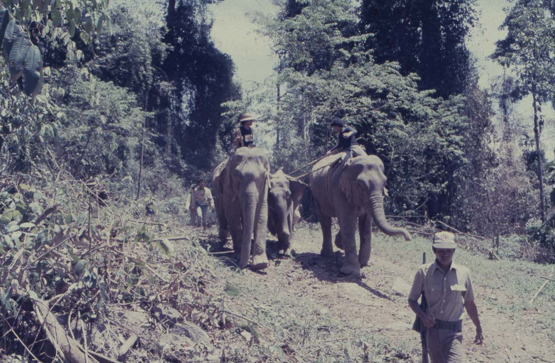 Elephant Hunt Kenyir Dam 2021.04.C.004 17 Elephant Hunt Kenyir Dam 2021.04.C.004 17